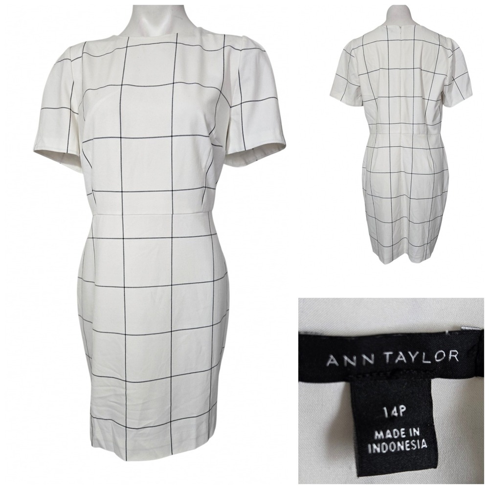 Ann Taylor White Black Windowpane Grid Sheath Dress Short Sleeve Petite 14P